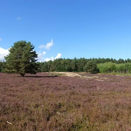 Stilvolle Landhaus-wohnung Mit Garten In Der Heide Bad Bodenteich