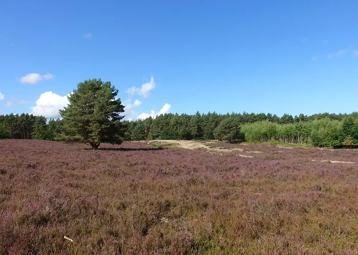 Stilvolle Landhaus-wohnung Mit Garten In Der Heide Bad Bodenteich