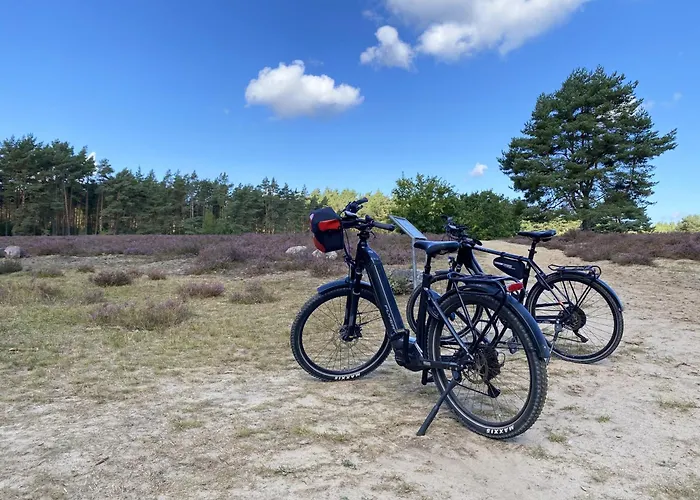 Lägenhet Stilvolle Landhaus-wohnung Mit Garten In Der Heide *